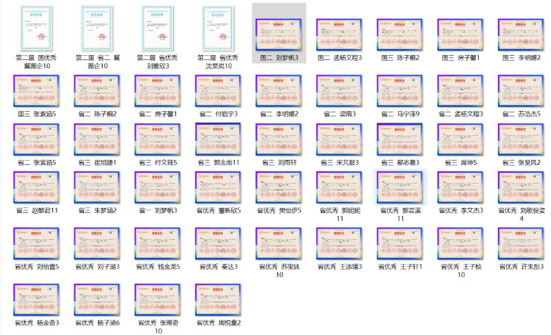 铁一征文获奖证书.png