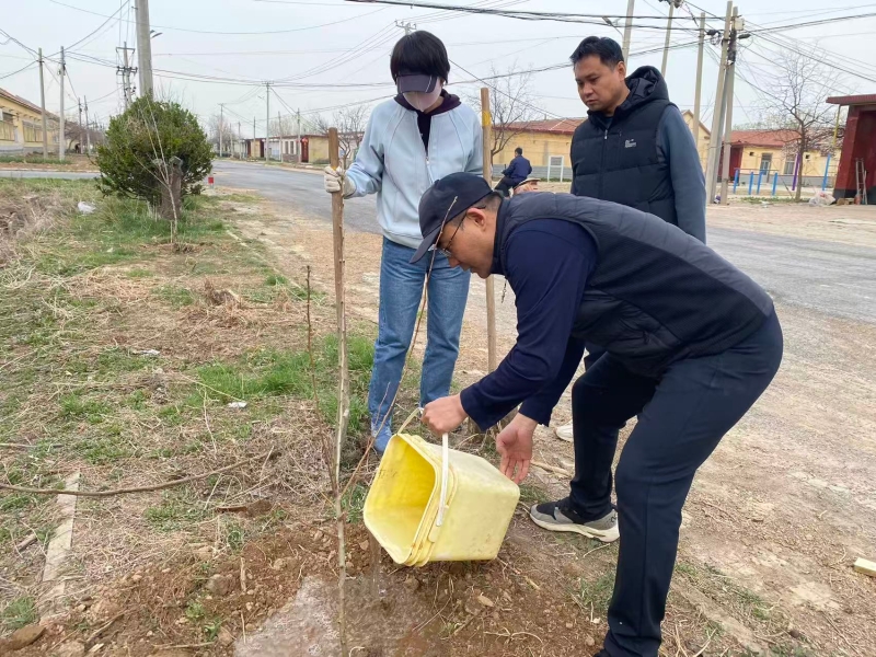 植树2.jpg
