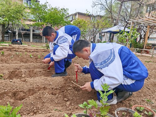 种植现场1.jpg