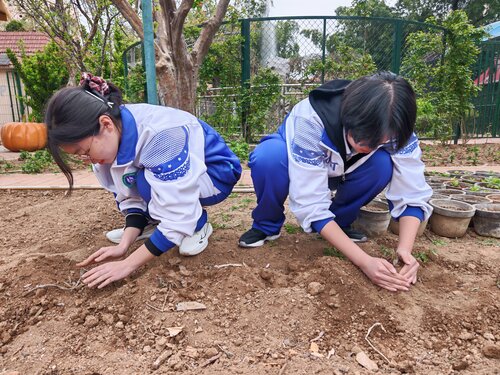 种植现场2.jpg